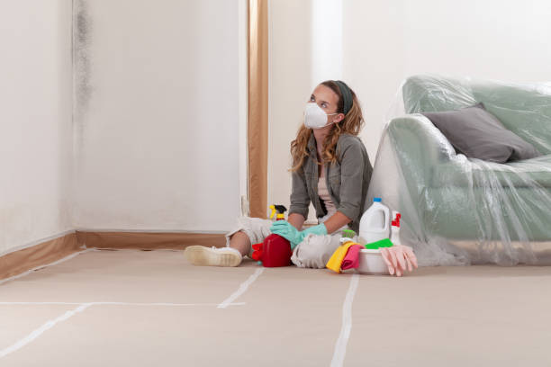 Reliable Commercial Mold Remediation contractor in Lebanon, IL by WQB Mold Removal